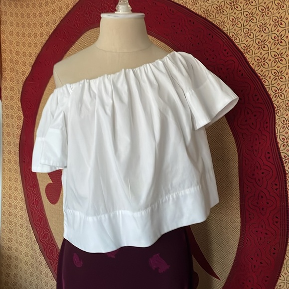 Like new Animale off the shoulder crop top - Picture 7 of 8